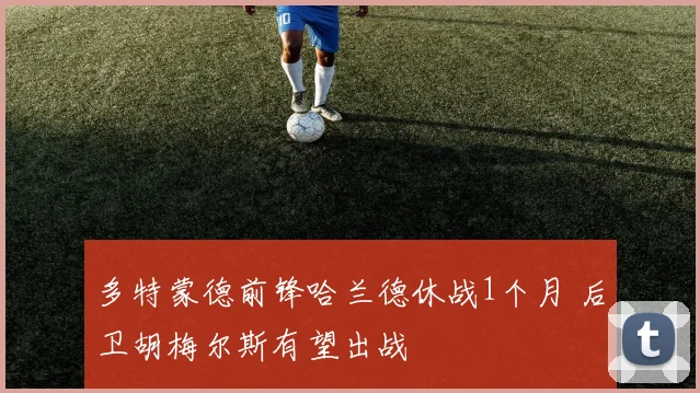 多特蒙德前锋哈兰德休战1个月 后卫胡梅尔斯有望出战