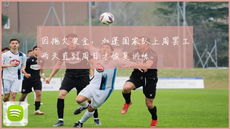 因拖欠奖金，加蓬国家队上周罢工两天直到周日才恢复训练