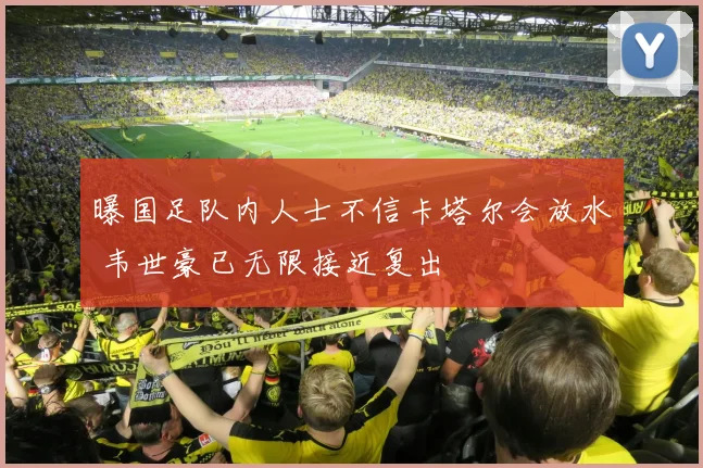 曝国足队内人士不信卡塔尔会放水 韦世豪已无限接近复出