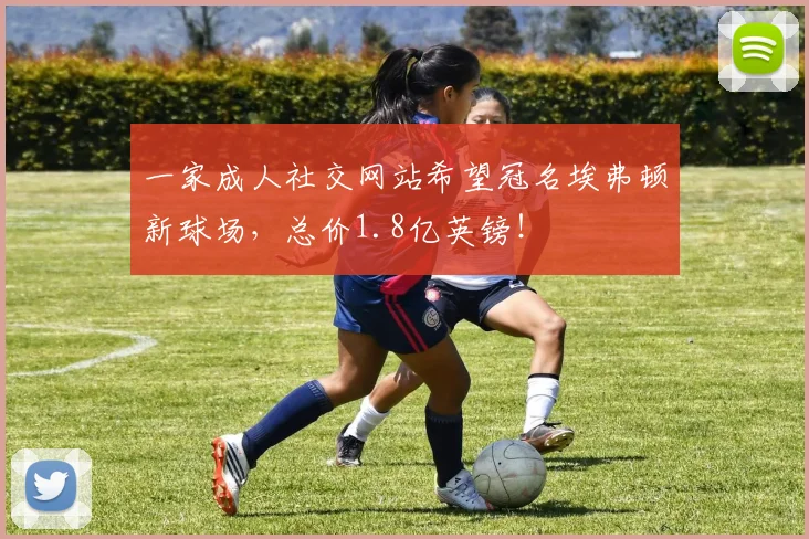 一家成人社交网站希望冠名埃弗顿新球场，总价1.8亿英镑！